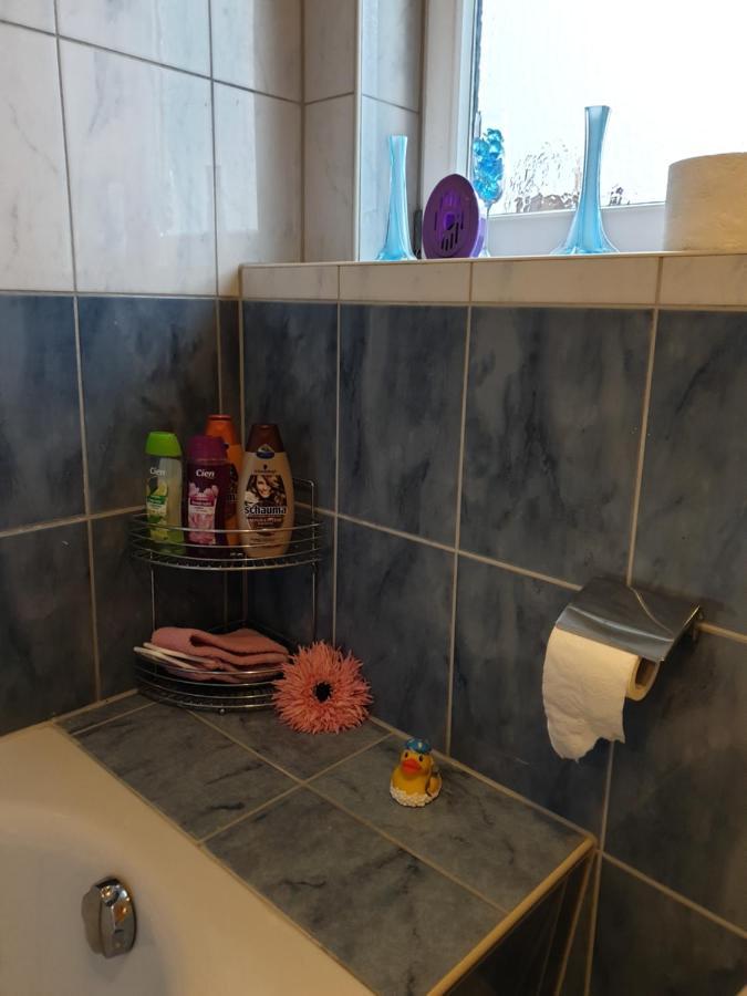 Schoene Grosse Ferienwohnung Im Mittelrheintal Nahe Loreley Bornich Экстерьер фото