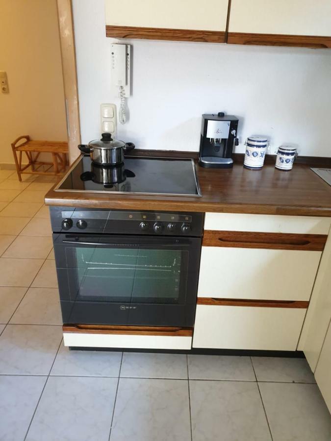 Schoene Grosse Ferienwohnung Im Mittelrheintal Nahe Loreley Bornich Экстерьер фото